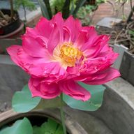 Ảnh của Lương Thị Xuân