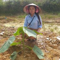 Ảnh của Thuy Nam